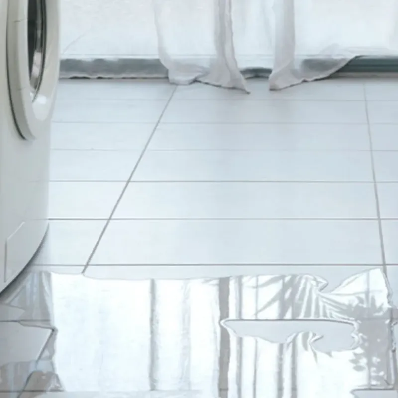 Appliance Leak Cleanup in Pace, FL