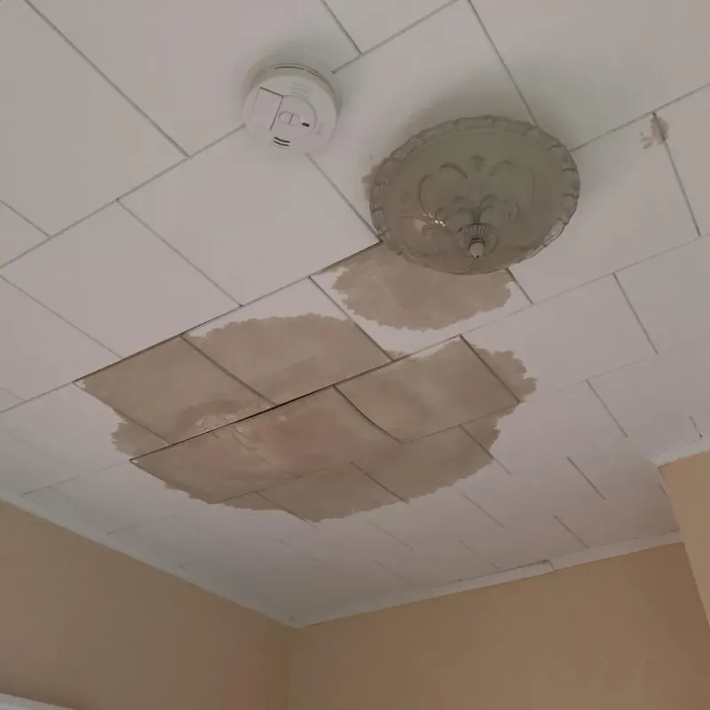 Ceiling Water Damage Repair in Pace, FL